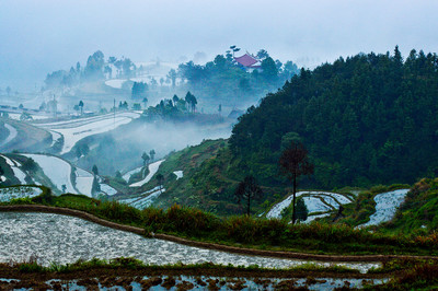 溫州永嘉茗岙梯田DSC_3203 - 喬峰 - 圖蟲(chóng)攝影網(wǎng)